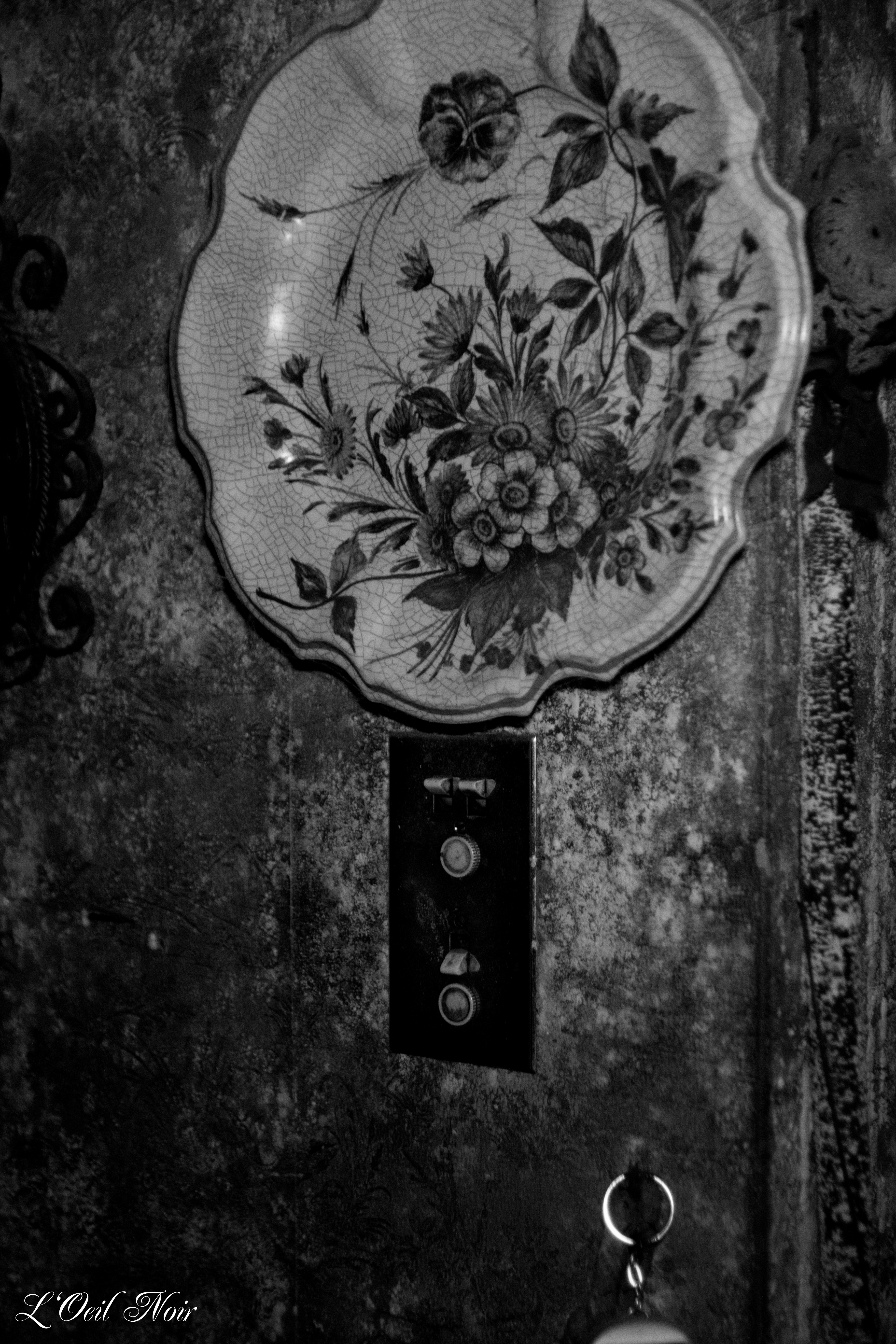 L' Oeil Noir Photographie